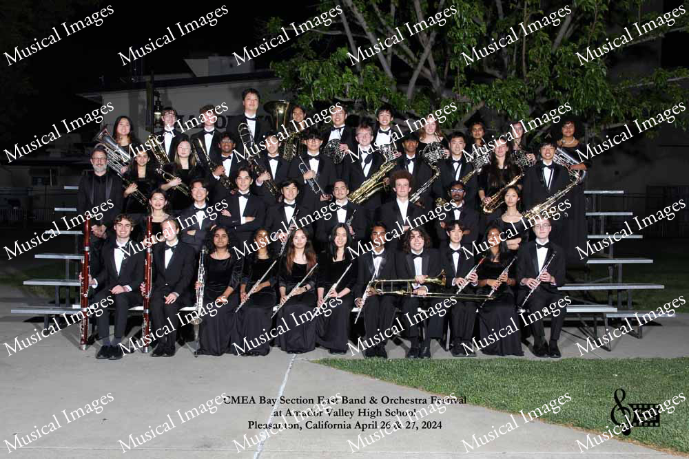 Musical Images